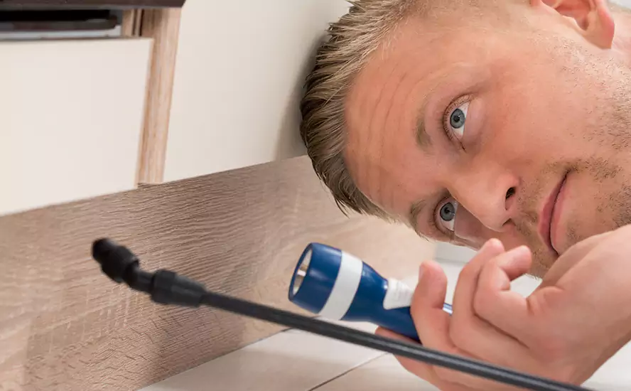 Top-Notch Pest Control in Rancho Cucamonga