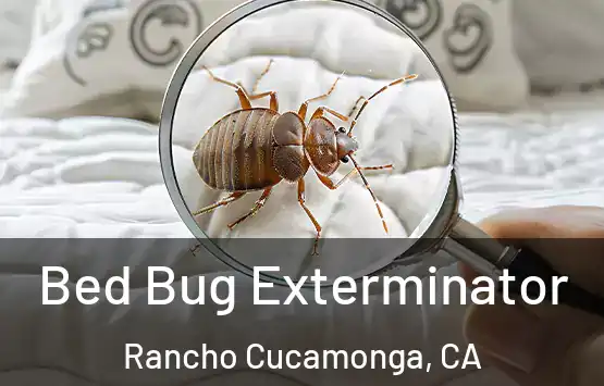  Bed Bug Exterminator Rancho Cucamonga, CA