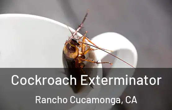  Cockroach Exterminator Rancho Cucamonga, CA