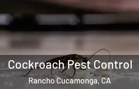  Cockroach Pest Control Rancho Cucamonga, CA