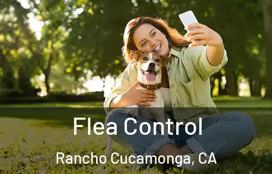  Flea Control Rancho Cucamonga, CA