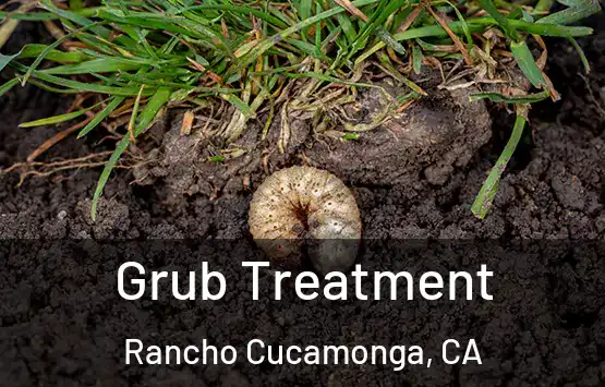  Grub Treatment Rancho Cucamonga, CA