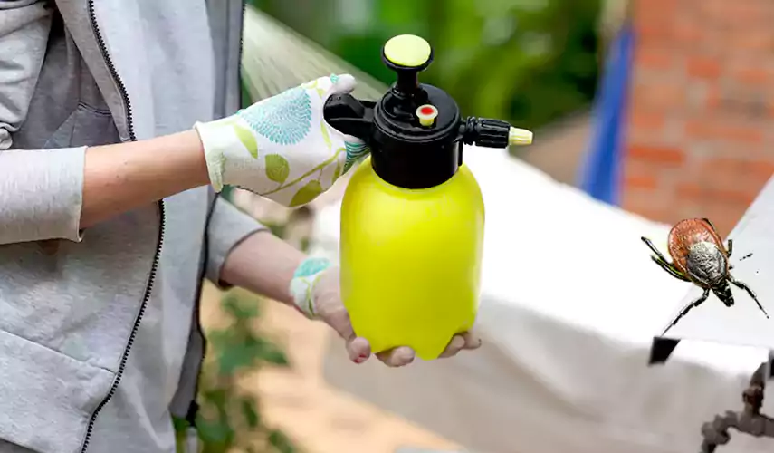 Ticks Pest Control Rancho Cucamonga, California