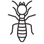 Termites Pest Control Rancho Cucamonga, California