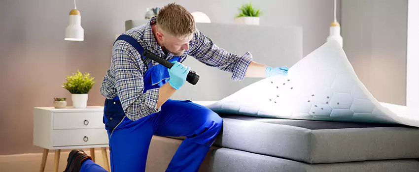 bed-bug-treatment in Rancho Cucamonga, CA