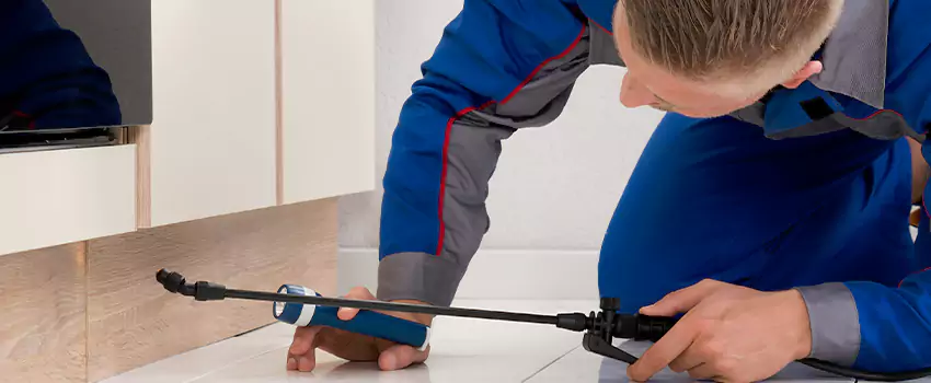 Ant Control for Bedrooms in Rancho Cucamonga, CA