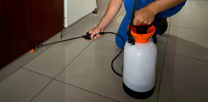 Commercial Pest Extermination for Offices in Rancho Cucamonga, CA