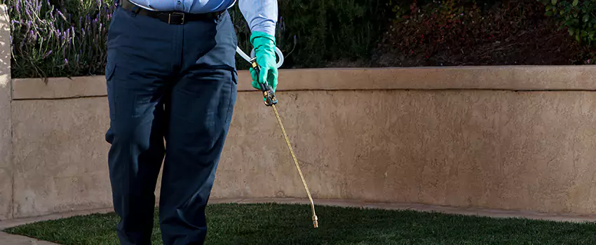 Emergency Pest Extermination for Children and Pets Rancho Cucamonga, CA