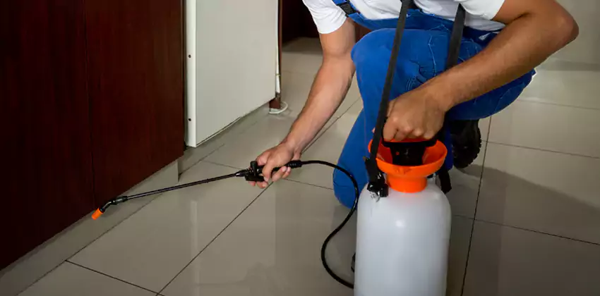 Commercial Flea Exterminator Company in Rancho Cucamonga, CA