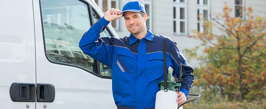 Organic and Chemical Spider Control Options Rancho Cucamonga, CA