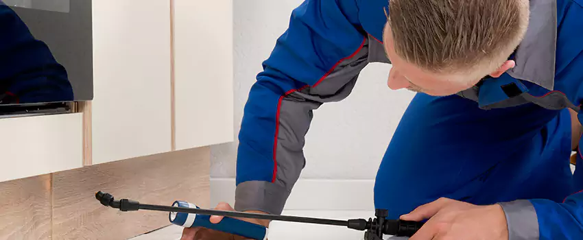 Termite Control for Children and Pets in Rancho Cucamonga, CA