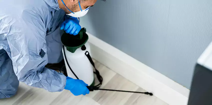 commercial-pest-exterminator in Rancho Cucamonga, CA