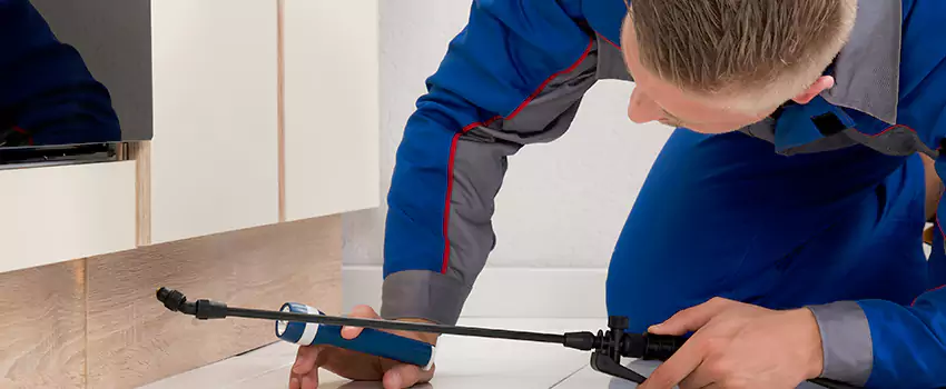 Pest Exterminator Company in Rancho Cucamonga, CA