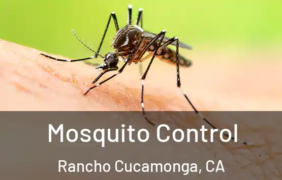  Mosquito Control Rancho Cucamonga, CA