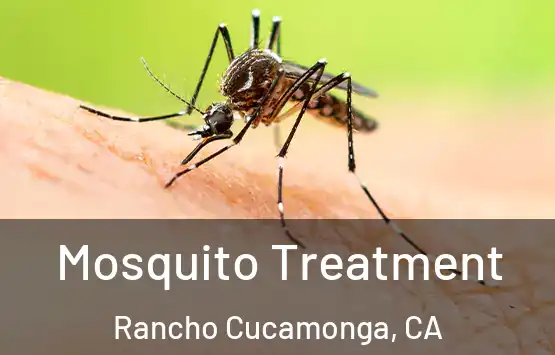  Mosquito Treatment Rancho Cucamonga, CA