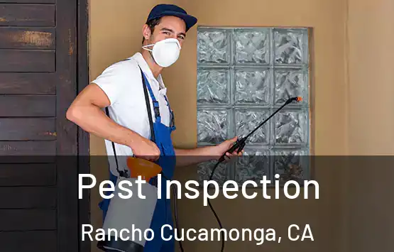  Pest Inspection Rancho Cucamonga, CA
