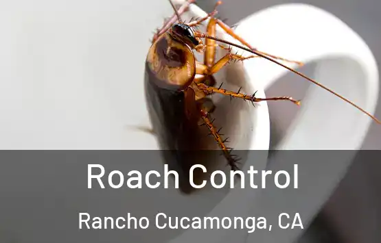  Roach Control Rancho Cucamonga, CA