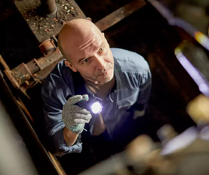 About Pest Inspection Rancho Cucamonga