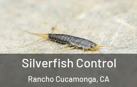  Silverfish Control Rancho Cucamonga, CA