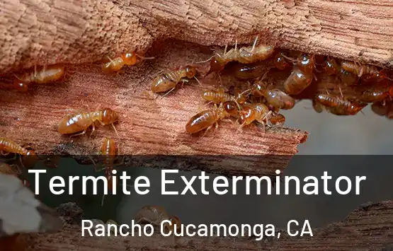  Termite Exterminator Rancho Cucamonga, CA