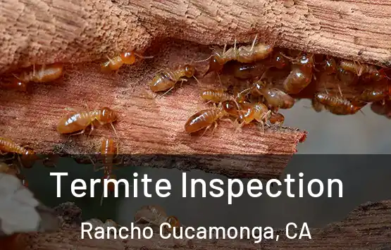  Termite Inspection Rancho Cucamonga, CA