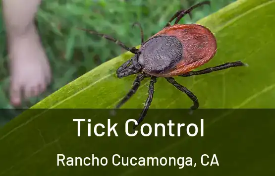  Tick Control Rancho Cucamonga, CA