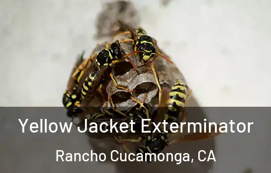  Yellow Jacket Exterminator Rancho Cucamonga, CA